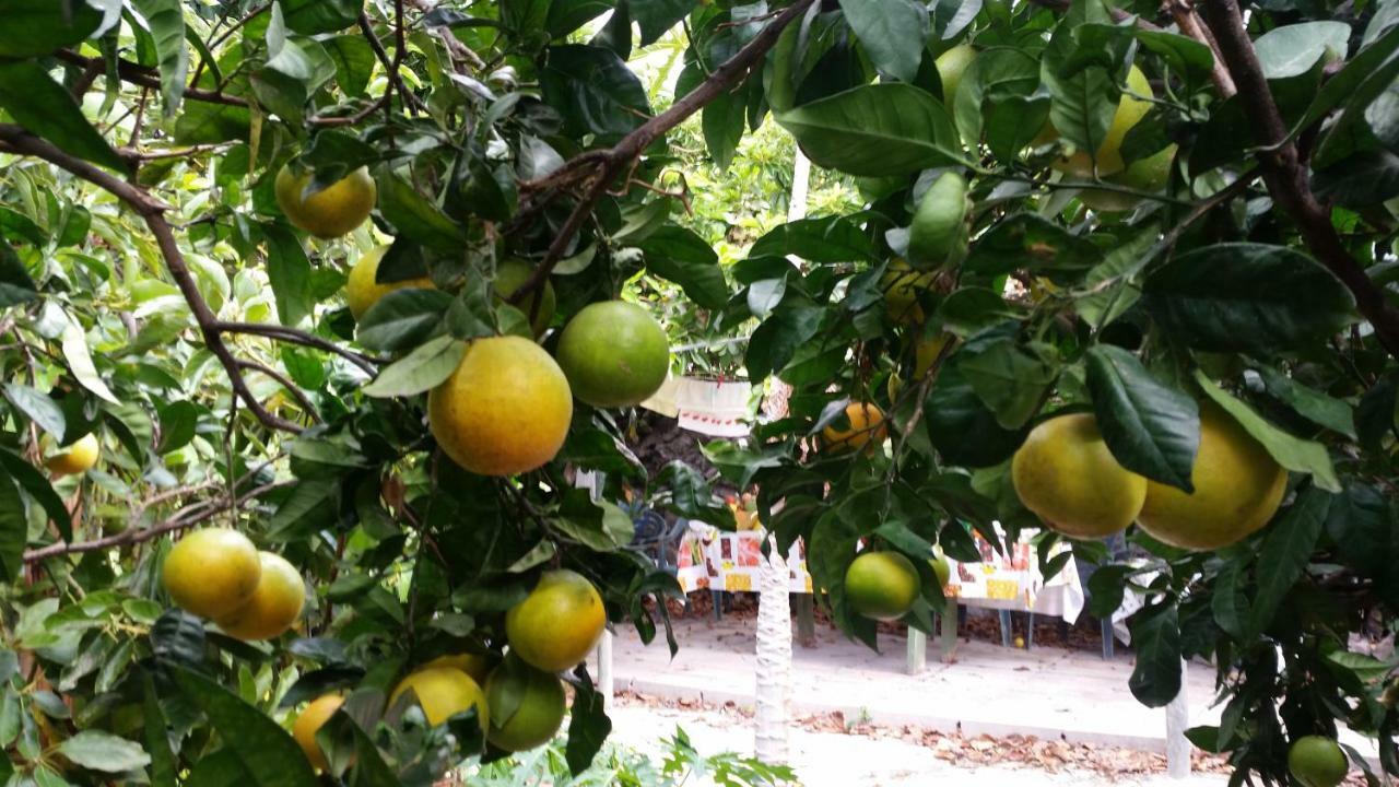 Appartamento Vv - Casa Clary -Finca Medina Alojera Esterno foto